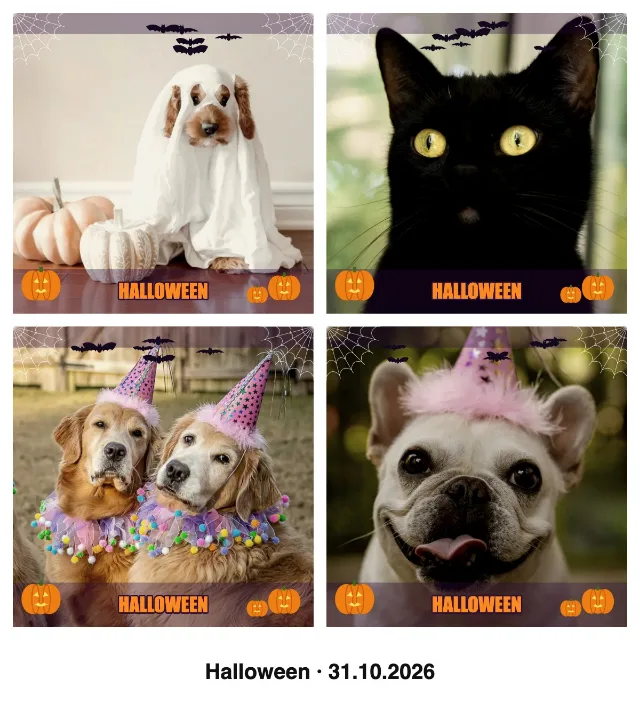 2×2-Halloween-Collage mit vier Tierfotos und der Bildunterschrift „Halloween“ mit Datum
